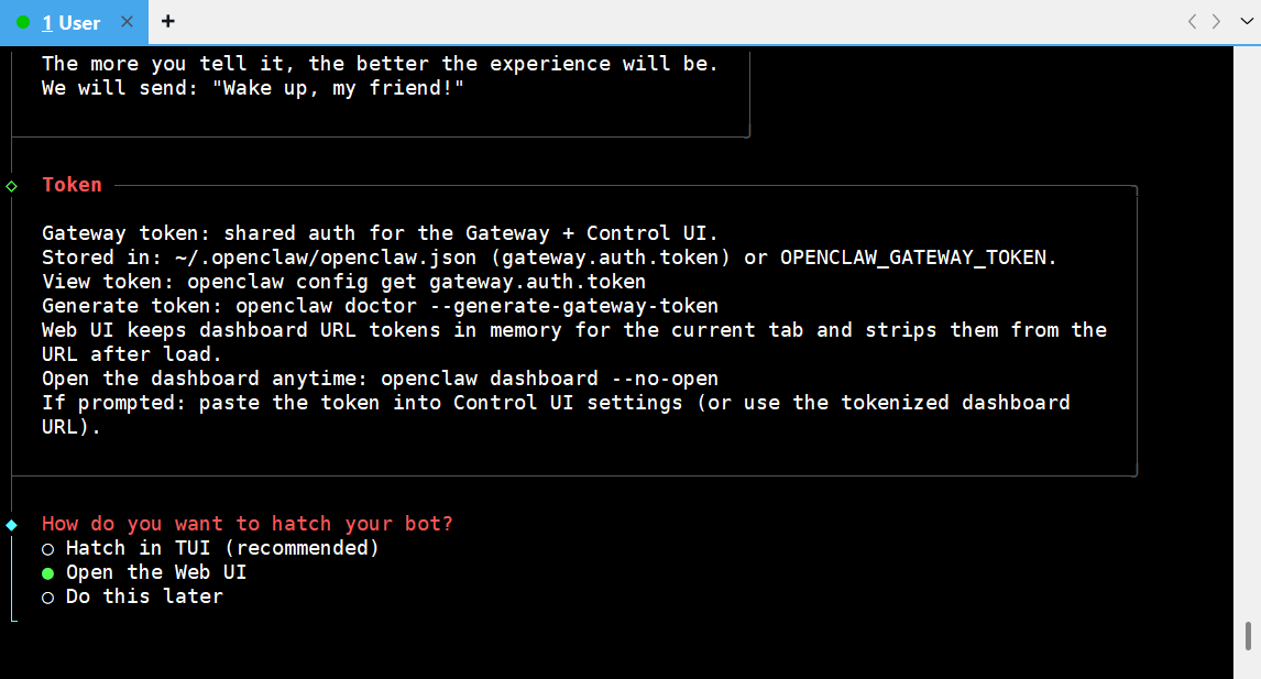 选择 Open the Web UI