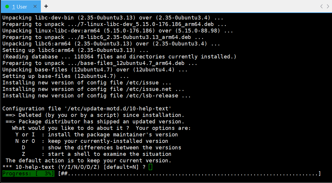 等待输入密码并继续升级